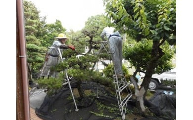 D3 　ふるさとの家管理サービス