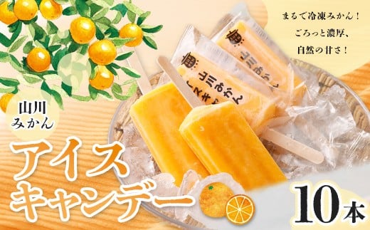 A319 山川みかんアイスキャンデー 100ml×10本セット