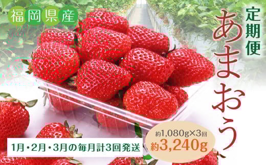 C20【3回定期便】あまおう いちご （約270g×4パック）×3回 合計約3,240g 【2026年1月下旬に第1回目発送予定】