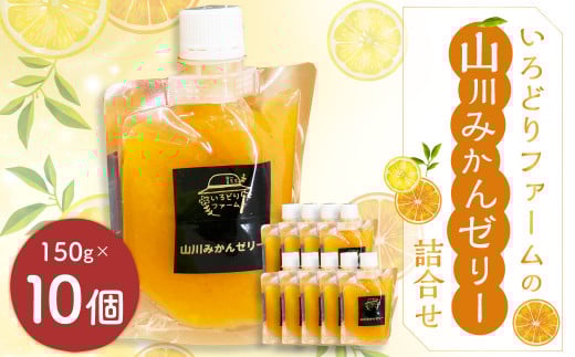 いろどりファーム・山川みかんゼリー詰合せ（150g×10個入り）