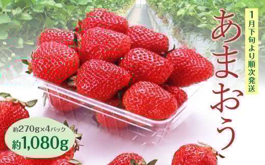 A1 あまおう いちご 4パック（約270g×4パック　計約1,080g）【2026年1月下旬～3月上旬迄順次発送予定】 苺 フルーツ 果物 くだもの 福岡県