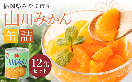 山川みかん缶詰 12缶セット 【2026年1月下旬以降順次発送予定】