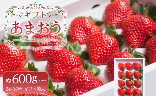 【ギフト】 あまおう 24～30粒