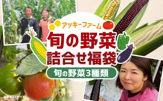A322 アッキーファームの旬の野菜詰合せ福袋（野菜3種）