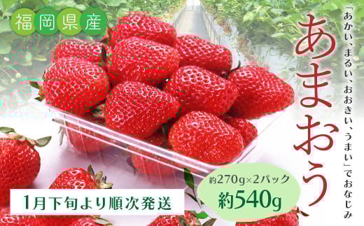 T21 あまおういちご2パック （約270g×2パック） 計約540g 【2026年1月下旬～3月上旬迄順次発送予定】 あまおう いちご ギフト フルーツ 果物 苺 くだもの 果実 福岡県 みやま市