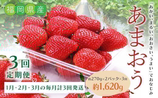 B52【3回定期便】 あまおういちご （約270g×2パック）?3回 合計約1,620g 【2026年1月下旬に第1回目発送予定】 定期 あまおう いちご ギフト フルーツ 果物 福岡県 みやま市