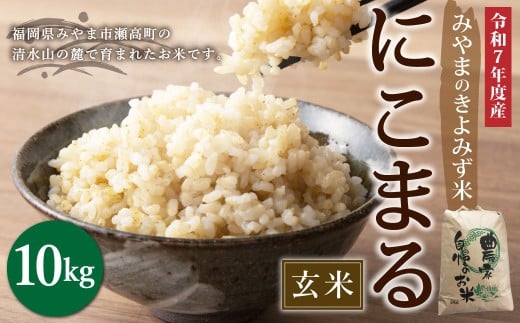 A233 みやまのきよみず米 にこまる 10kg 玄米