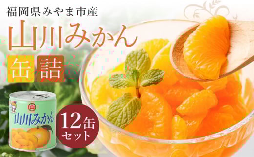 山川みかん缶詰 12缶セット 【2026年1月下旬以降順次発送予定】