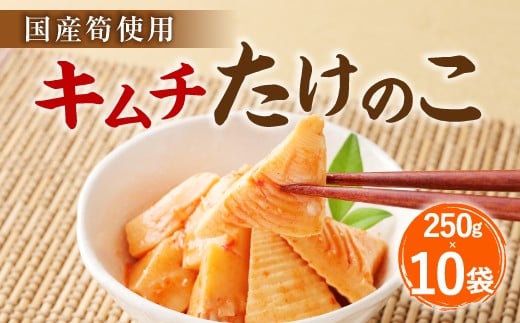 B24 キムチ たけのこ（国産筍使用）250g×10袋