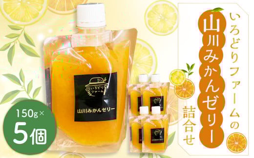 いろどりファーム・山川みかんゼリー詰合せ（150g×5個入り）