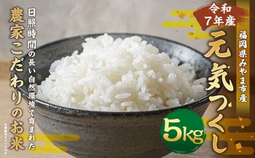 アッキーファームのお米「元気つくし」 5kg（白米）