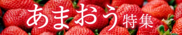 あまおう特集