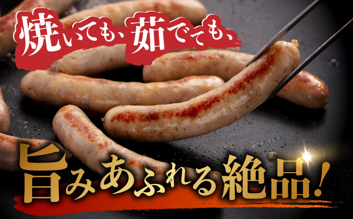 【全6回定期便】【糸島手造りハム】おすすめギフトセット（2）ハム ソーセージ ウインナー [AAC014]