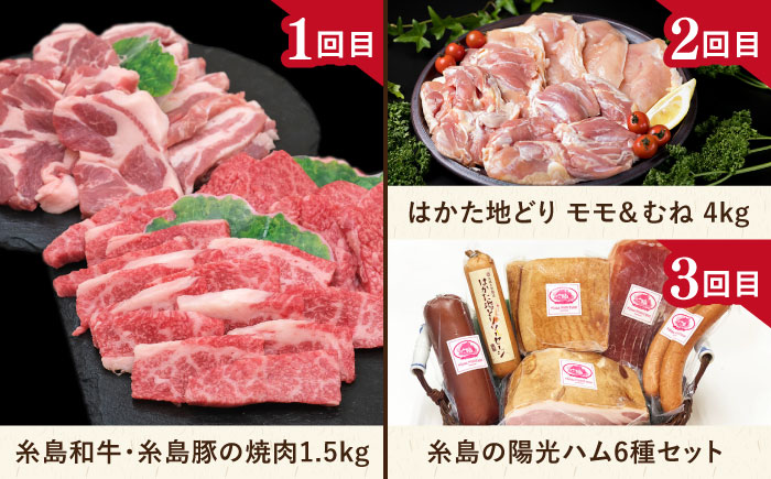 【全12回定期便】肉のお楽しみ定期便 / 15種 食べ比べ セット （ 博多和牛 糸島和牛 糸島豚 はかた地どり イノシシ ウインナー  シャトーブリアン ステーキ ハム ） [AAH009]