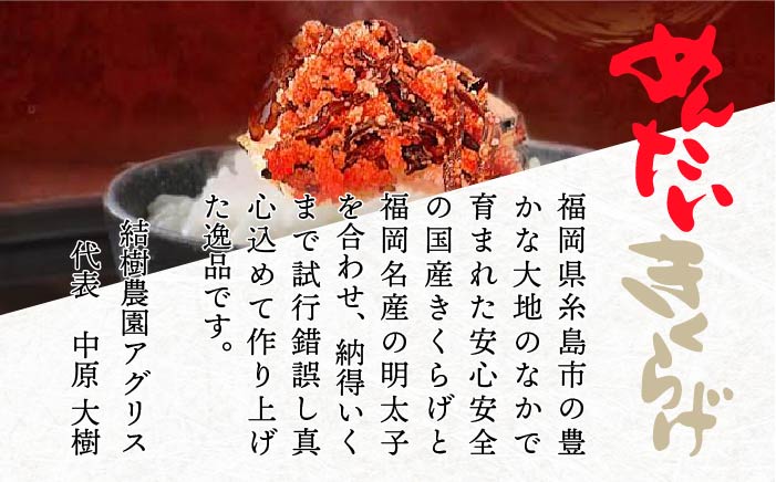 【全3回定期便】結樹農園アグリス めんたいきくらげ300g ≪糸島市≫【結樹農園アグリス】きくらげ/国産/明太/明太子 [AAJ005]