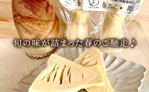 【先行予約】湯がきタケノコ 1kg 【2025年3月下旬以降より順次発送・季節限定】糸島市 / 糸島王丸農園(谷口汰一)【いとしまごころ】 [AAZ009]