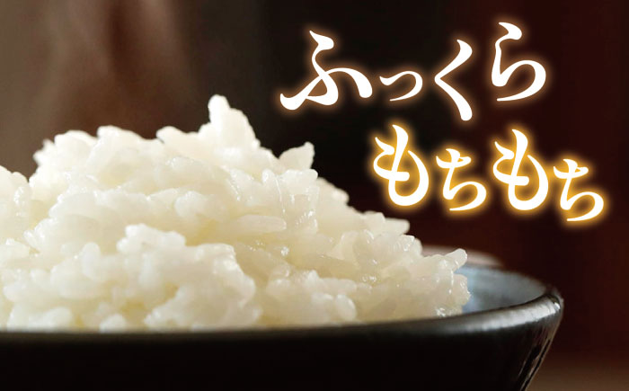 【令和7年産新米】糸島産 ミルキークイーン 10kg  糸島市／糸島王丸農園（ 谷口汰一 ）【いとしまごころ】 米 [AAZ018]