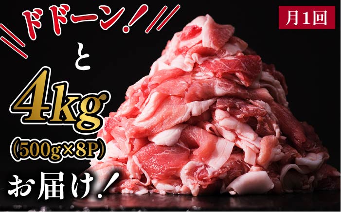 【全6回定期便】糸島豚切り落とし4kg（500g×8パック） 福岡県糸島市 幸栄物産 [ABH018]