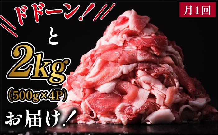 【全6回定期便】糸島豚切り落とし2kg（500g×4パック） 福岡県糸島市 幸栄物産 [ABH021]