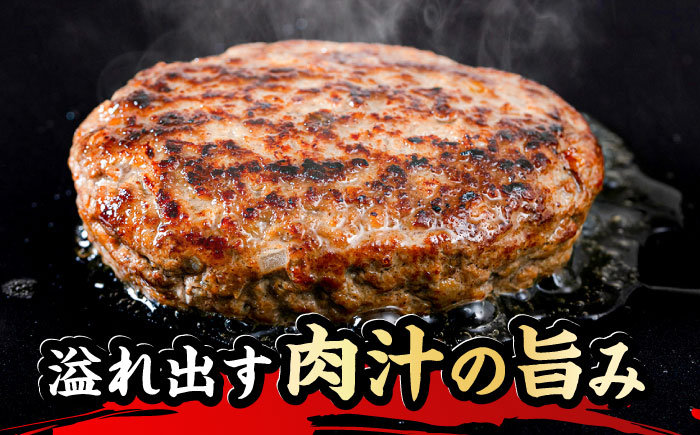博多和牛 ハンバーグ 100g×6個 糸島市 / 幸栄物産 牛肉 黒毛和牛 [ABH050]