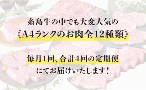 【全4回定期便】A4ランク 糸島黒毛和牛 毎月1回合計4回でお届け 糸島ミートデリ工房 [ACA073]