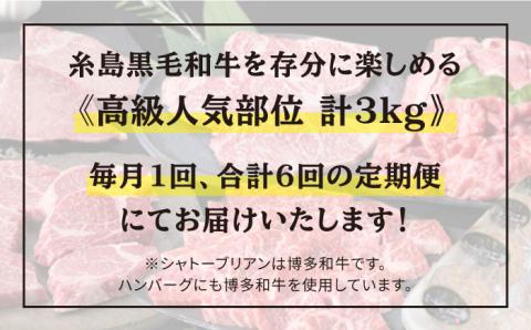 【人気部位定期便】糸島黒毛和牛（博多和牛）セット全6回（月1回） 2人前 約3kg 糸島ミートデリ工房 [ACA110]
