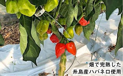 ハバネロオリーブオイル 100ml【シェフのごはんやさん四季彩】 【いとしまごころ】 [ACC013]