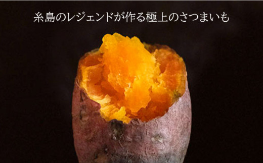 【2023年10月以降順次出荷】山北パパイヤと安納蜜芋の5kgセット 糸島市 / 山北農園 [ACH002]