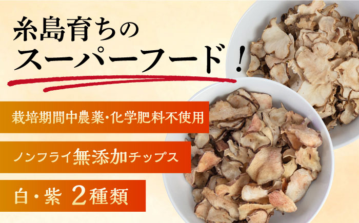 糸島 育ちの 菊いも チップス ・ 紫 菊芋 チップス 80g×各3袋 糸島市 / 糸島ボンテール農園 菊芋 スーパーフード [ACO011]