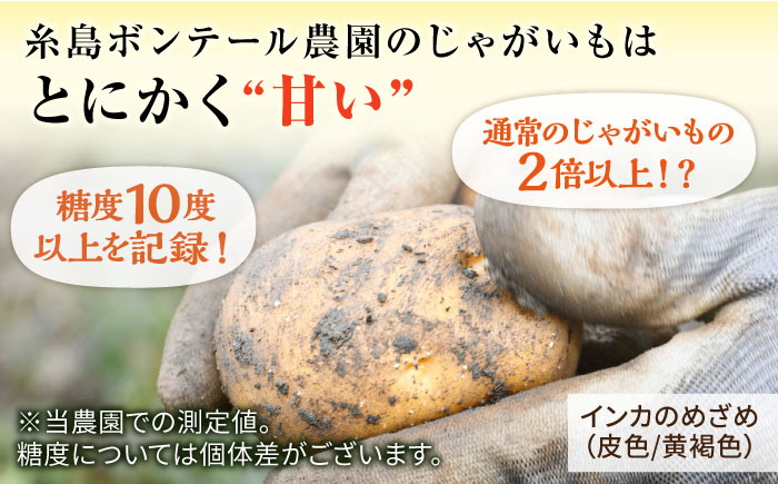 糸島育ちのジャガイモ 2種食べ比べ インカのめざめ インカのひとみ 各1kg・計2kg  糸島市 / 糸島ボンテール農園 [ACO012]