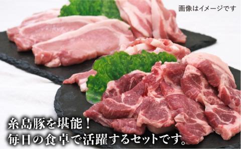 糸島豚肉セット（焼肉用・生姜焼き用・とんかつ用）糸島市 / JA糸島産直市場 伊都菜彩 [AED003]
