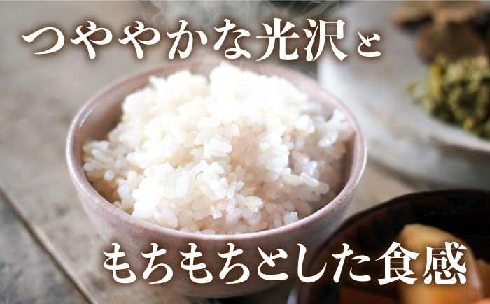 令和5年産！【無洗米】糸島のお米 夢つくし 「糸島美人」5kg 糸島市 / JA糸島産直市場 伊都菜彩 [AED014]