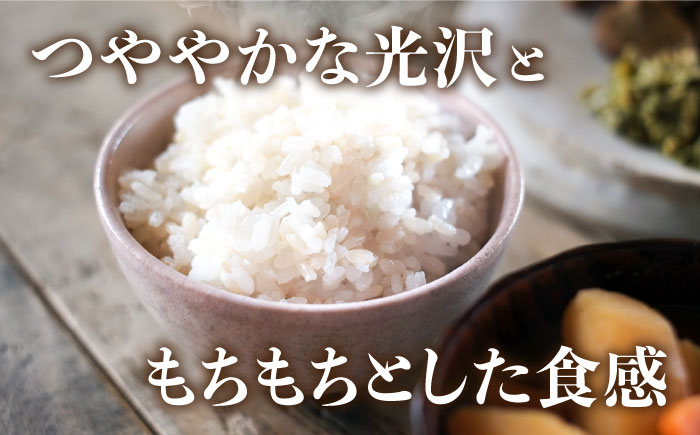 令和5年産！糸島のお米 夢つくし 「糸島美人」10kg （ 5kg×2 ） 糸島市 / JA糸島産直市場 伊都菜彩 [AED016]