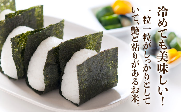 糸島のお米 元気つくし 10kg （ 5kg×2 ） 糸島市 / JA糸島産直市場 伊都菜彩 [AED018]