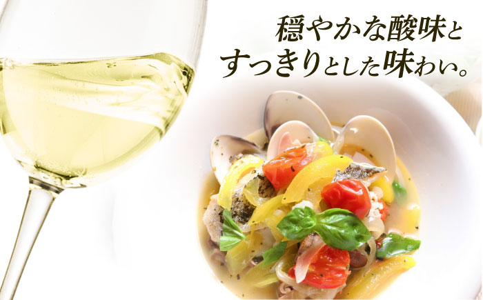 【糸島マスエワイナリ】STILL 甲州 1本 糸島市 / いとしのいとしま / ワイン お酒 [AEP004]