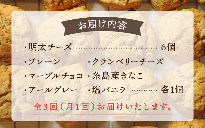【全3回定期便】【 ご自宅用 】 定番 スコーン + 明太 チーズ スコーン 計 12個 セット 糸島市 / スコーン専門店キナフク [AFA024]