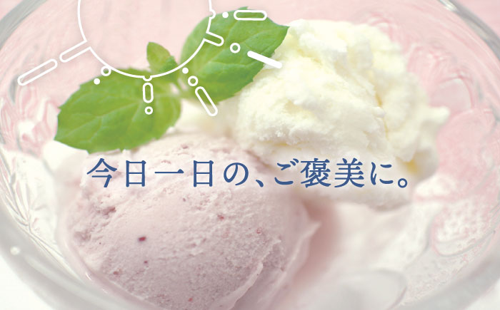 【全12回定期便】伊都物語プレミアムアイス10個セット（みるく2個、ヨーグルト2個、あまおう2個、抹茶2個、チョコレート2個）《糸島》【糸島みるくぷらんと】 [AFB026] アイスクリーム ミルク