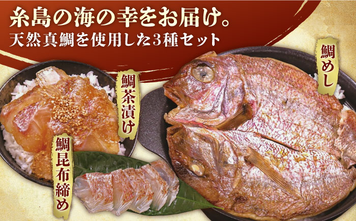 いとしま 天然真鯛 プレミアム セット （ 天然 真鯛 鯛茶漬け・ 天然 真鯛 昆布締め・ 天然 真鯛 めし ） 糸島市 /　ワイエスフード [AFO001] 鯛 魚