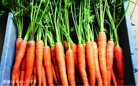 【 全6回 定期便 】 【 福岡県 糸島産 】 朝採れ 野菜 セット ( 8品 前後 )  《糸島》【オーガニックナガミツファーム】 	[AGE009]