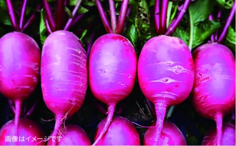 【 全12回 定期便 】 【 福岡県 糸島産 】 朝採れ サラダ用 野菜 セット 《糸島》【オーガニックナガミツファーム】 	[AGE011]
