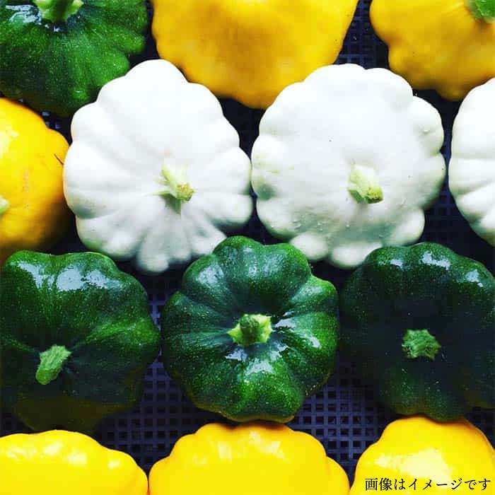 【 栽培期間中農薬 ・ 化学肥料 不使用 】こだわり 高級希少野菜 セット《糸島》【オーガニックナガミツファーム】	[AGE014]