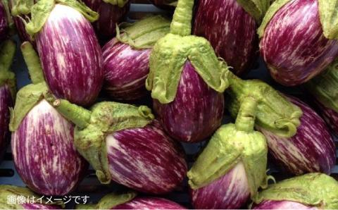 【 栽培期間中農薬 ・ 化学肥料 不使用 】 温野菜＆生食野菜セット （ 6品前後 ） 《糸島》【オーガニックナガミツファーム】 	[AGE015]