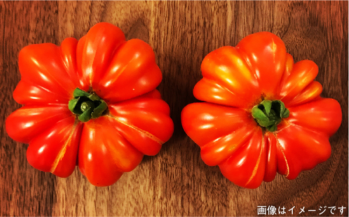 【 全9回 定期便 】 朝採り オーガニック 旬 野菜 お任せ 5品 ＋ 糸島産 大ヒット 特産 加工品 2品 のセット《糸島》【オーガニックナガミツファーム】 	[AGE031]