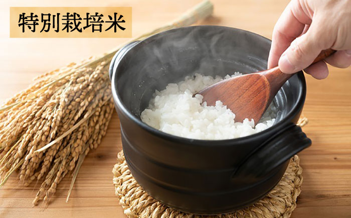 【全3回定期便】【☆畑直送☆栽培期間中農薬不使用！】お 米 2kg & 野菜 5品 の セット 糸島市 / オーガニックナガミツファーム 	[AGE036]