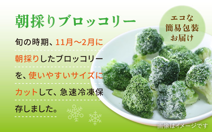 ブロッコリー 500g 冷凍 旬の時期に急速冷凍 【福岡県糸島産】 糸島市 / オーガニックナガミツファーム 野菜 	[AGE043]