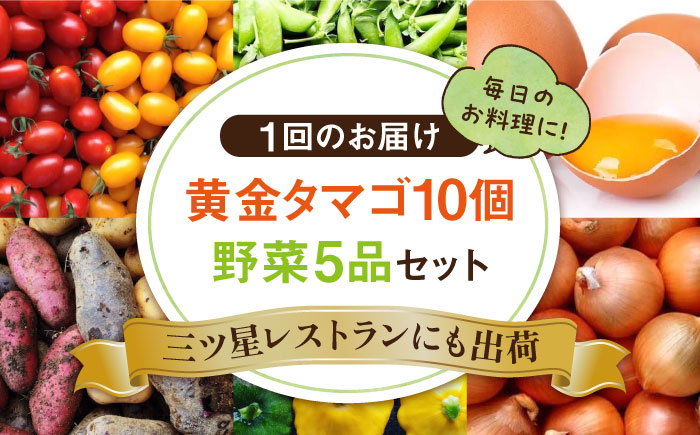 【全12回定期便】糸島の朝産み黄金タマゴ10個 朝どれ新鮮野菜5品 セット【福岡県糸島産】 糸島市 / オーガニックナガミツファーム 玉子 やさい 	[AGE049]