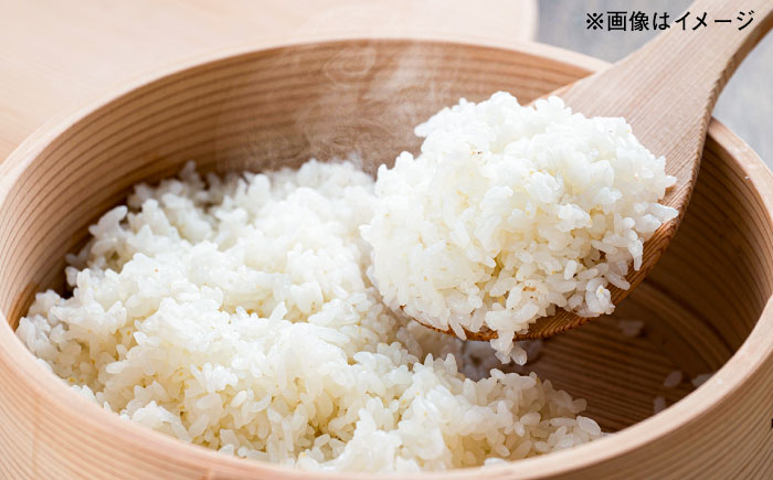 【令和7年産】 にこまる 玄米品質1等米 白米 5kg 糸島市産 糸島市 / 糸島の恵み コメ こめ ご飯 [AGR001]