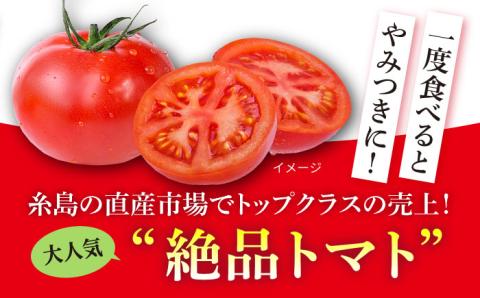 【先行受付】【全3回定期便】糸島産 絶品トマト かれん (4kg28玉前後) 【2025年12月上旬以降順次発送】糸島市 / シーブ 野菜 とまと 大玉トマト [AHC066]