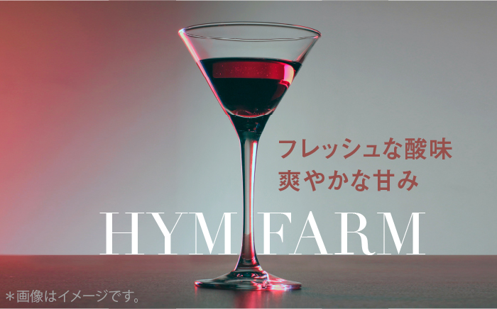 糸島産 ブルーベリー ＆ ブラックベリー ワイン 720ml×2種 セット 糸島市 / HYM FARM [AHM001]