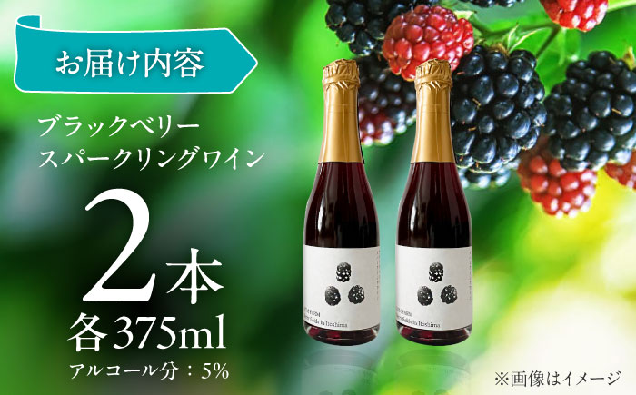 2024年産 糸島産ブラックベリースパークリングワイン 375ml 2本セット / 糸島市 / HYM FARM / お酒 赤ワイン [AHM003]